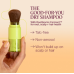 Good-for-You Dry Shampoo X 2 Pack